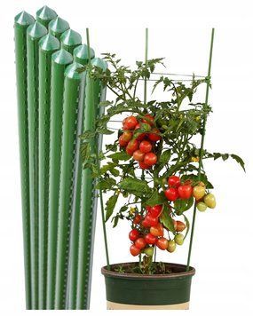 Кілки для Рослин Покрита Опора для Помідорів Стовпчики для Квітів 180СМ 10шт 18281611529 фото