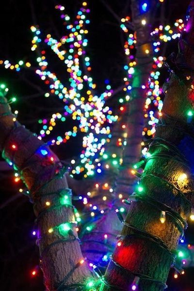 Лампочки Ялинкові 300LED Вогники ВУЛИЧНІ Гірлянда мультиколор FLASH 17978695176 фото