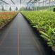 АГРОВОЛОКНО 135г 2,2х50м АГРОТКАНИНА чорна UV антибур&rsquo;янова мат +ШПИЛЬКИ 17785927309 фото 8